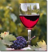 Kutije za vino